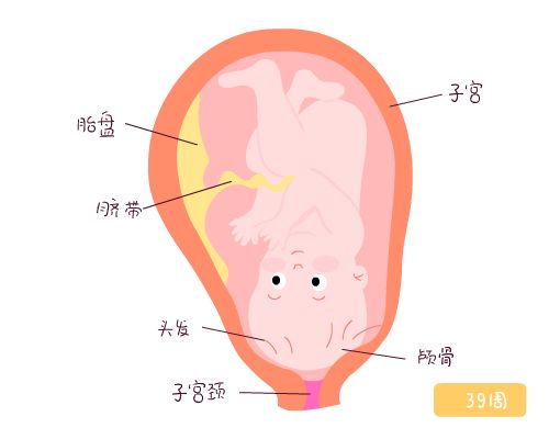 ˳رô죿